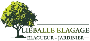 Lieballe élagage